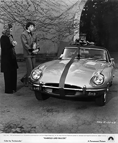 「ハロルドとモード／少年は虹を渡る」バッド・コート & ビビアン・ピクルスの画像