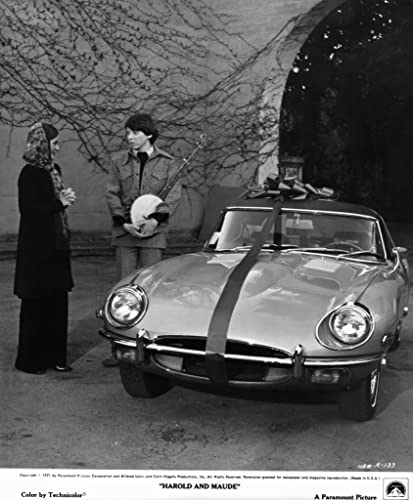 「ハロルドとモード／少年は虹を渡る」バッド・コート & ビビアン・ピクルスの画像