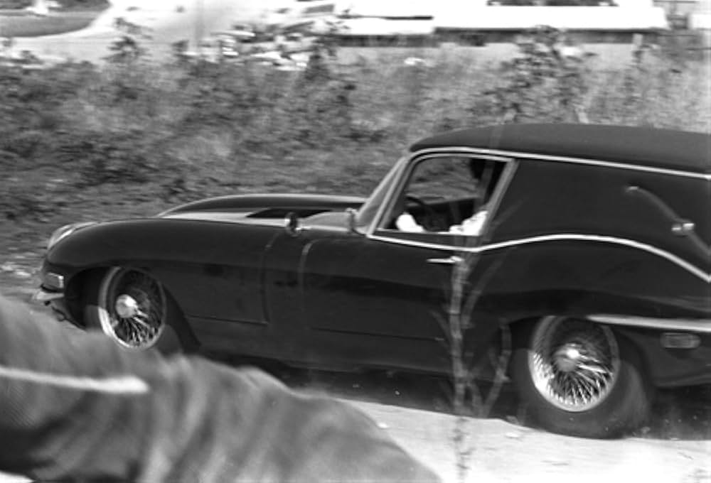 ハロルドとモード／少年は虹を渡るの画像