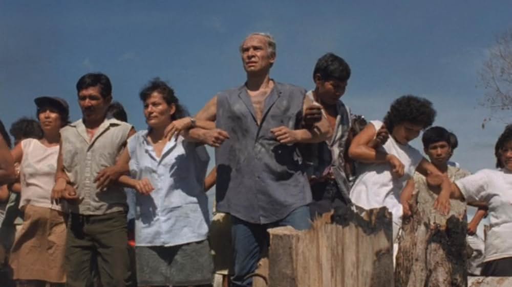 サンドラ・ブロック in アマゾンの画像