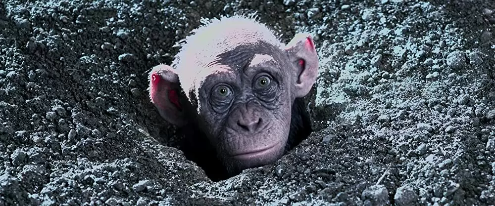 「猿の惑星：聖戦記（グレート・ウォー）」スティーブ・ザーンの画像