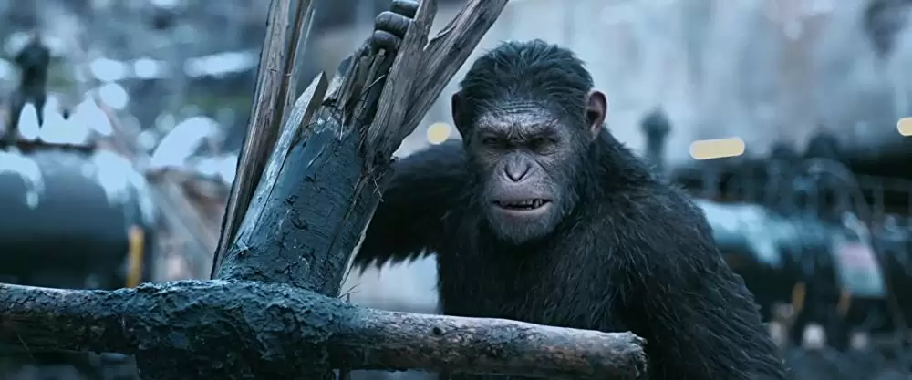 猿の惑星：聖戦記（グレート・ウォー）の画像