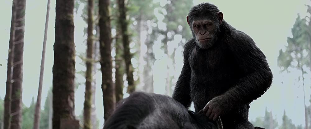 猿の惑星：聖戦記（グレート・ウォー）の画像