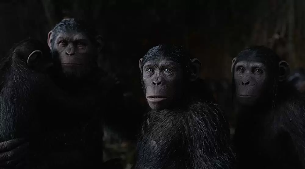 「猿の惑星：聖戦記（グレート・ウォー）」ジュディ・グリア & アンディ・サーキス & Max Lloyd-Jones & Devyn Daltonの画像