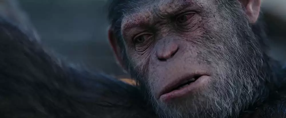 「猿の惑星：聖戦記（グレート・ウォー）」アンディ・サーキスの画像