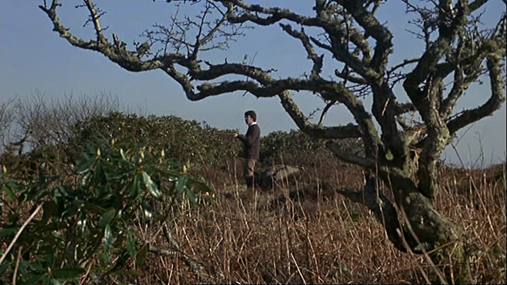 「わらの犬」ダスティン・ホフマンの画像