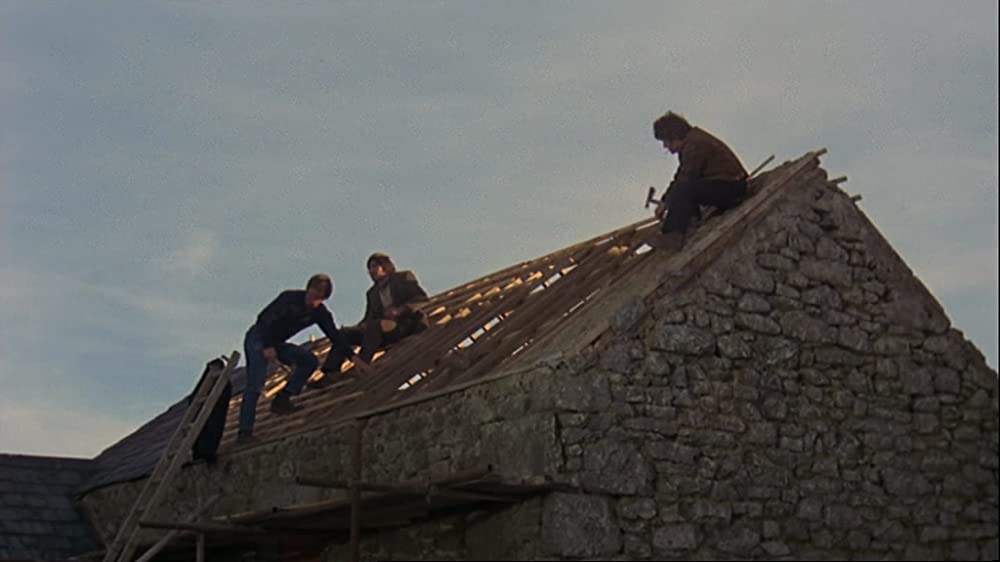 わらの犬の画像