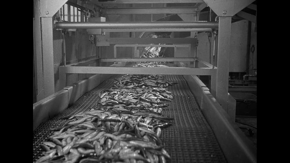 熱き夜の疼き／クラッシュ・バイ・ナイトの画像