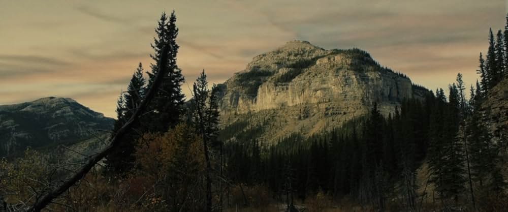 クリフ・サバイバーの画像