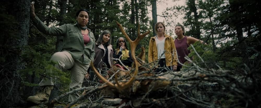 クリフ・サバイバーの画像