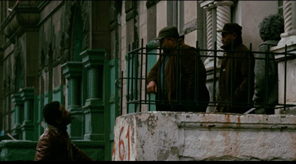 黒いジャガーの画像