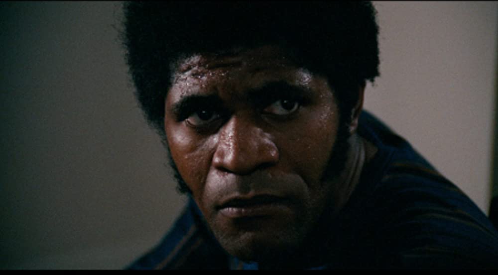 黒いジャガーの画像