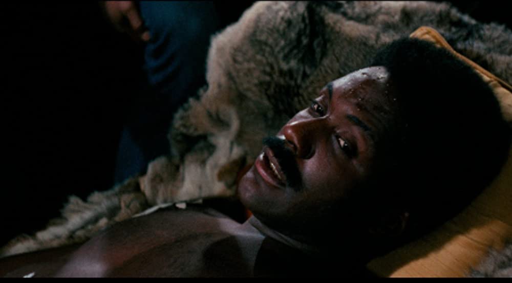 黒いジャガーの画像