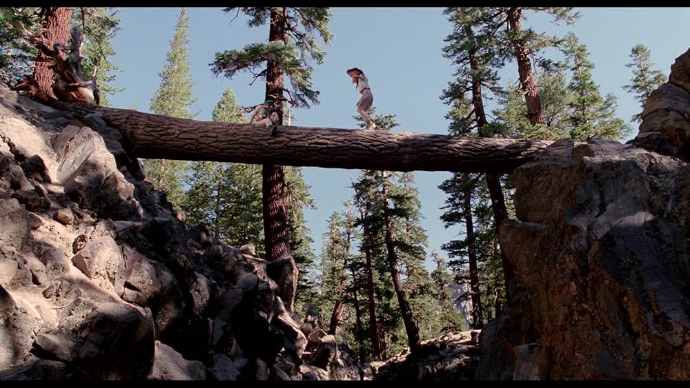 ガールスカウト・ビバリーヒルズ版の画像