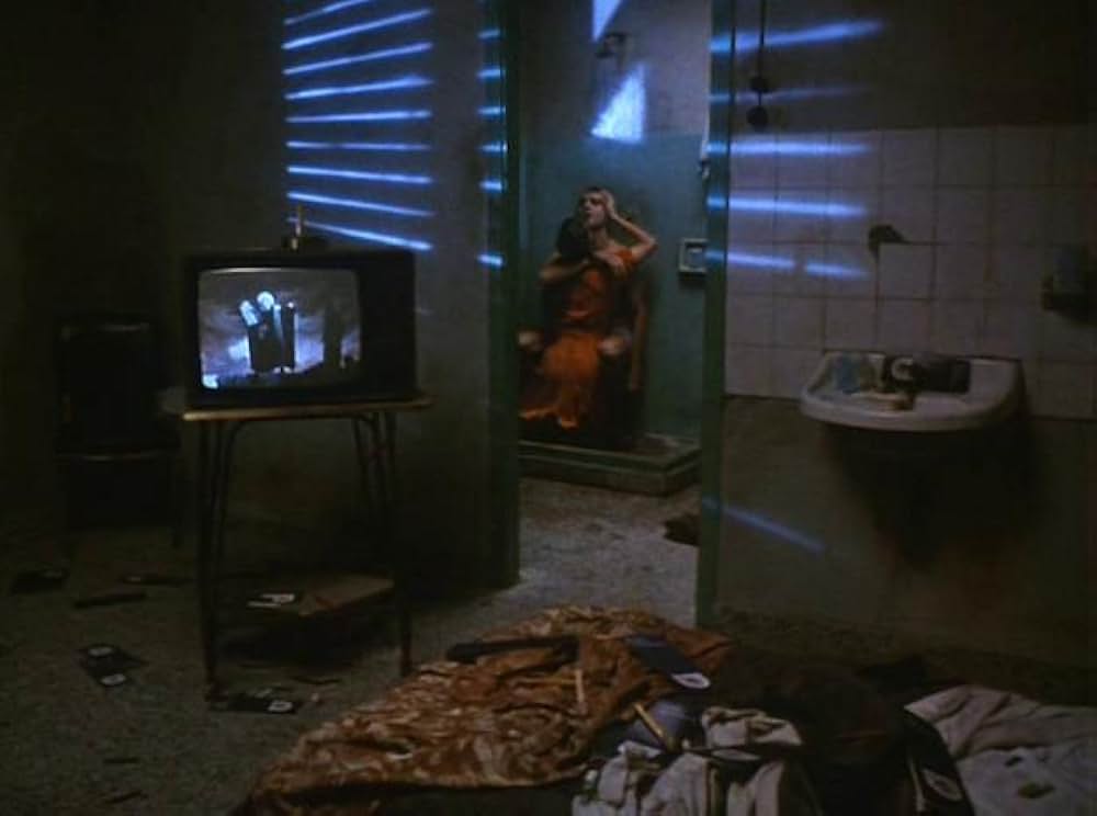 エバースマイル、ニュージャージーの画像