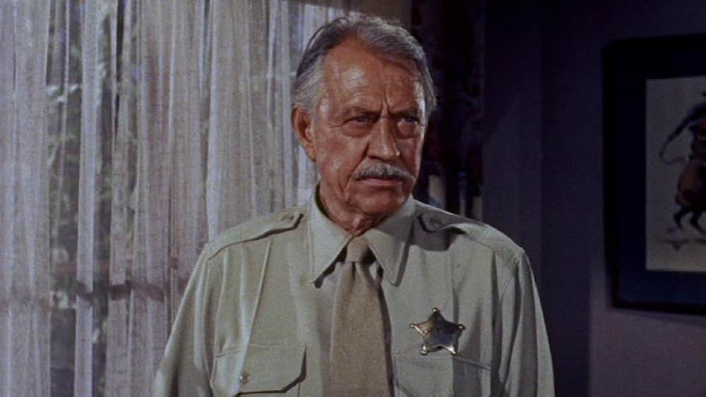 拳銃の罠の画像