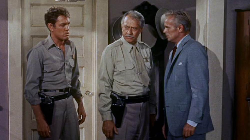 拳銃の罠の画像