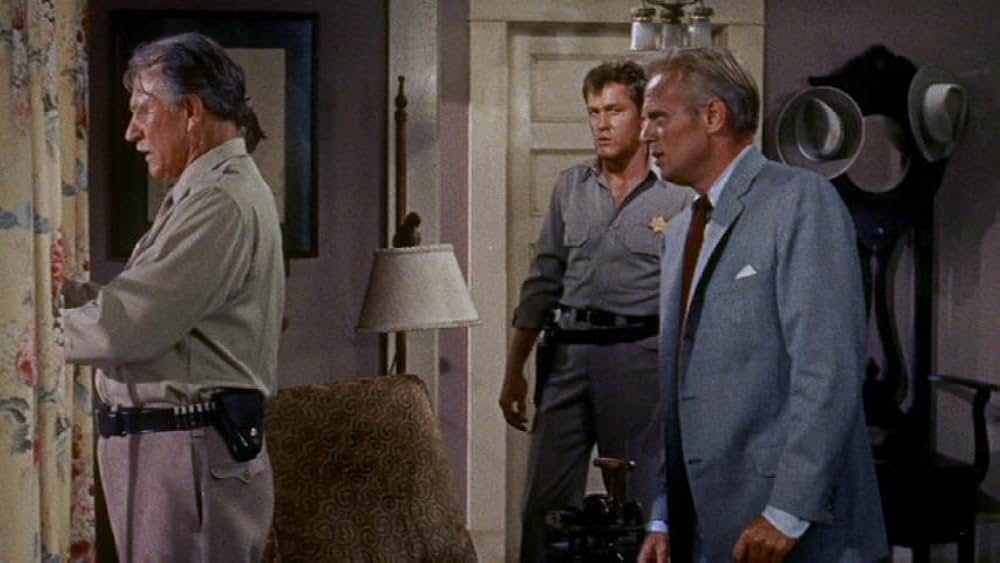 拳銃の罠の画像