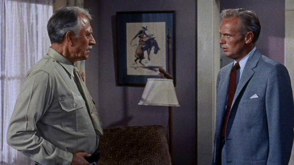 拳銃の罠の画像