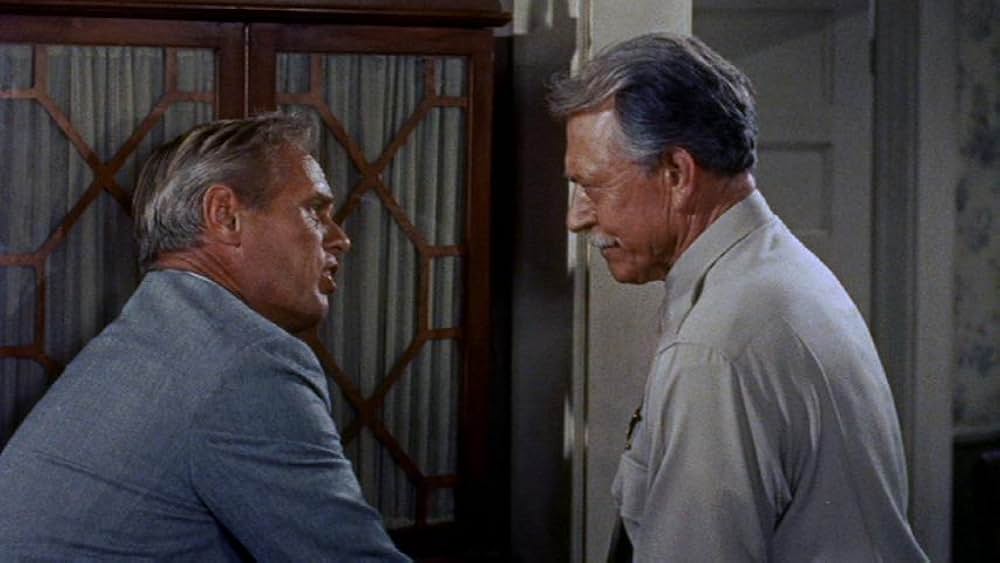 拳銃の罠の画像