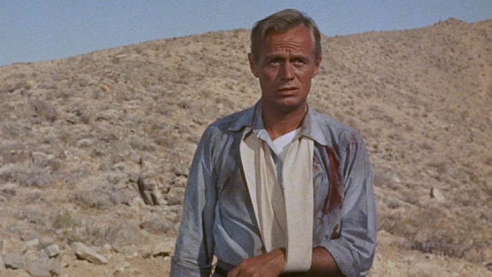 拳銃の罠の画像