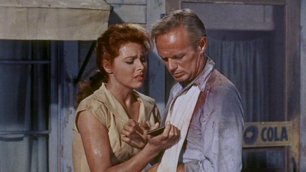 拳銃の罠の画像