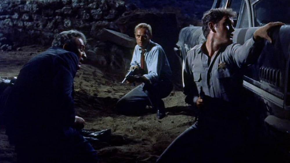 拳銃の罠の画像