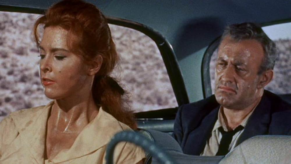 拳銃の罠の画像