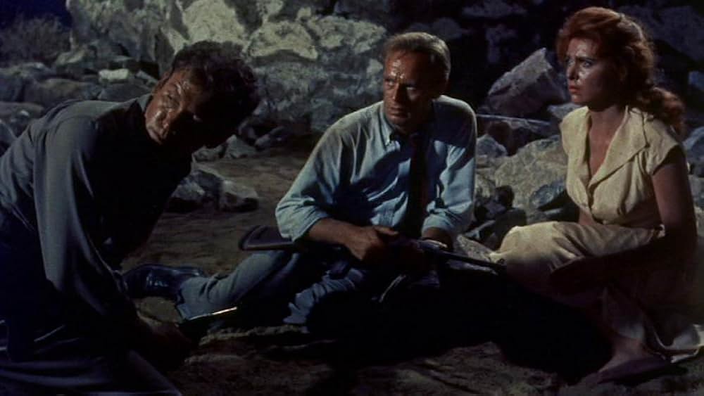 拳銃の罠の画像