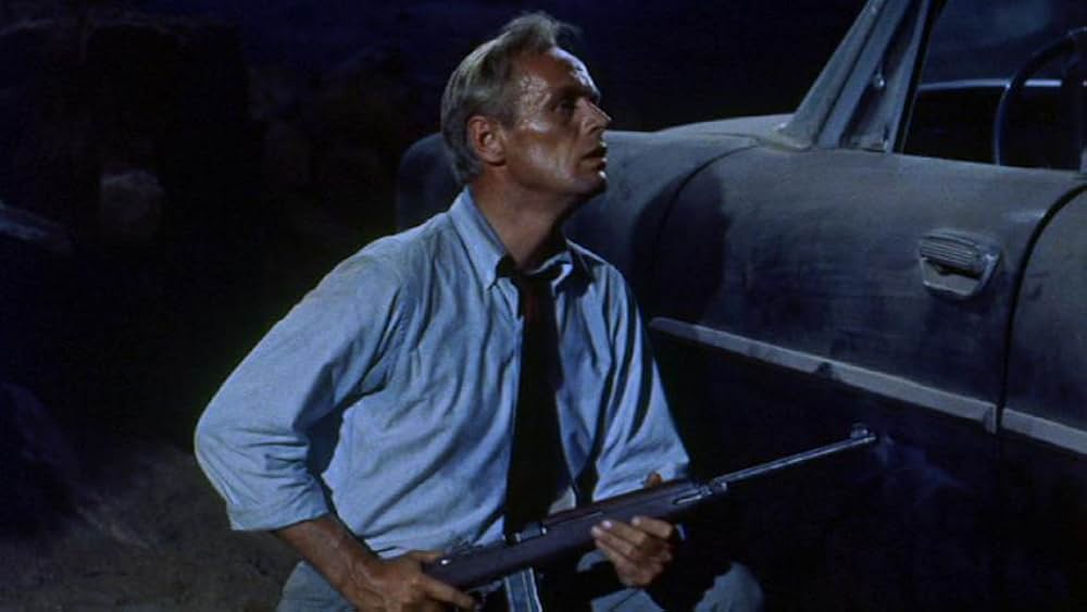 拳銃の罠の画像