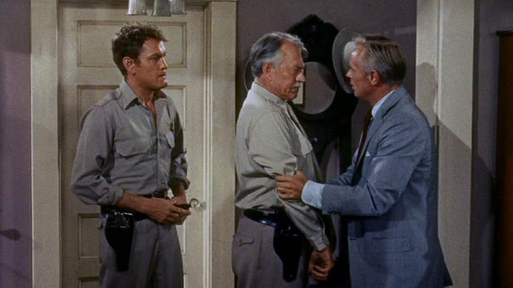 拳銃の罠の画像