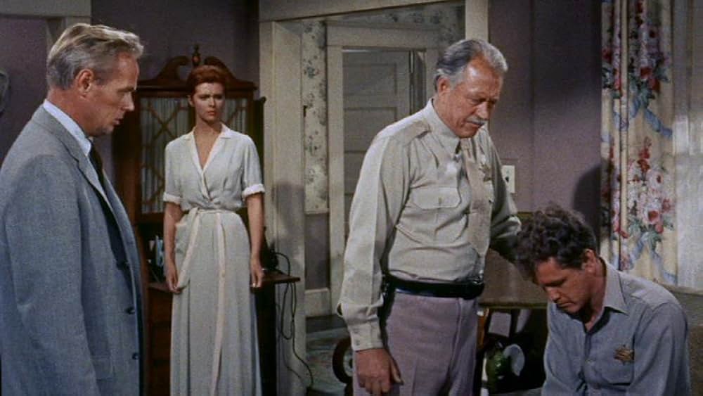 拳銃の罠の画像