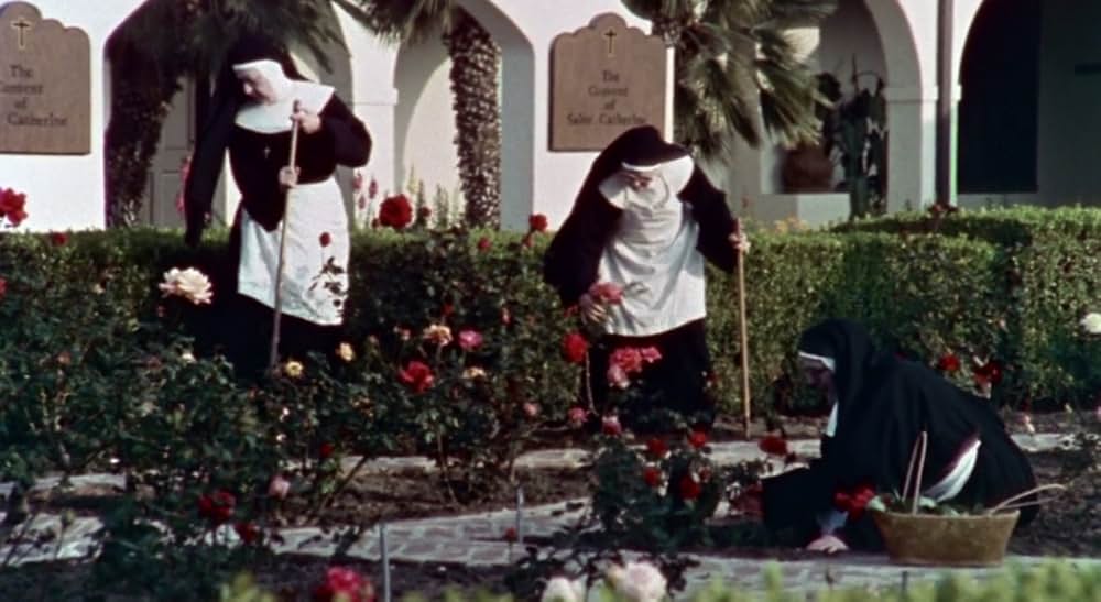 「エンド・オブ・ザ・ワールド／死を呼ぶエイリアン脱出計画」の画像
