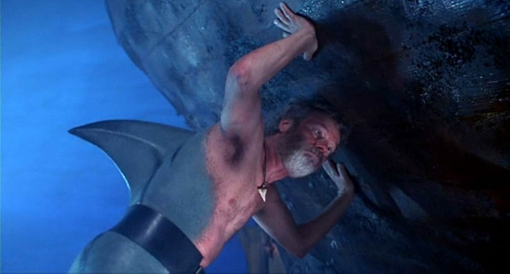 キャビン・ボーイ／航海、先に立たずの画像