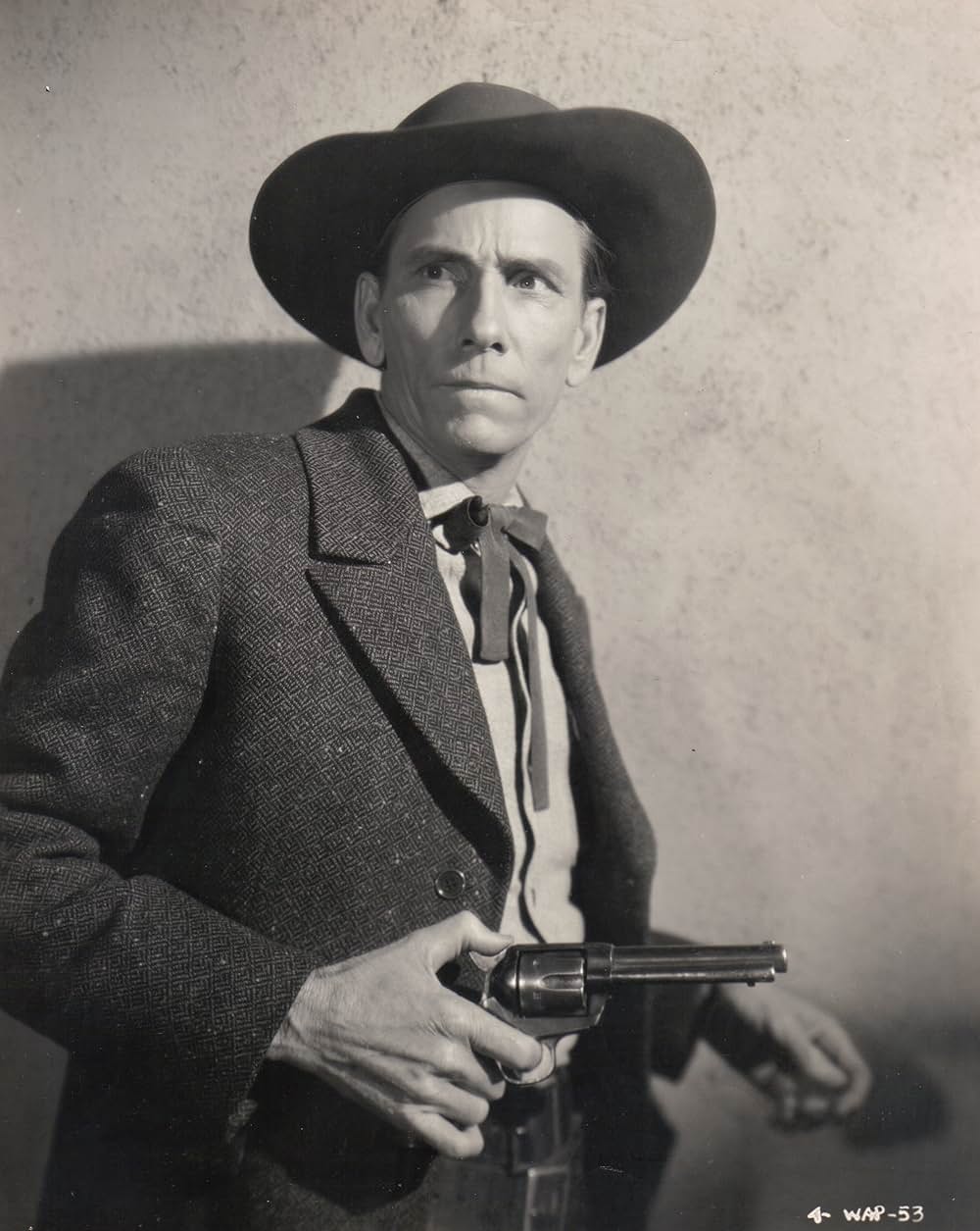 殴り込み牧場の画像