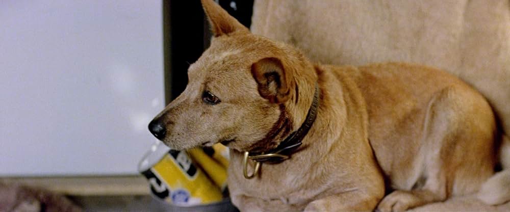 ロードゲームの画像