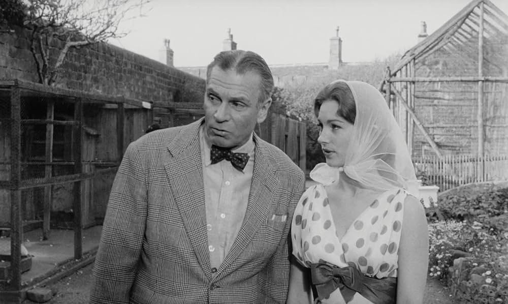 寄席芸人の画像