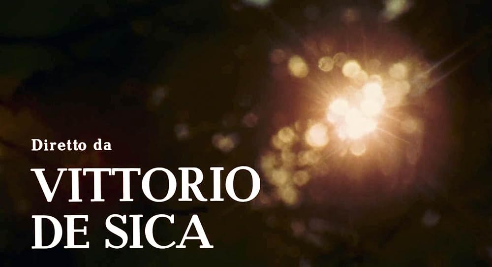 悲しみの青春の画像