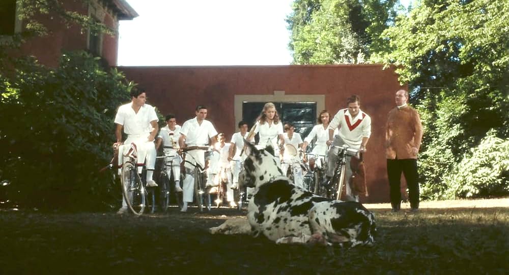 悲しみの青春の画像