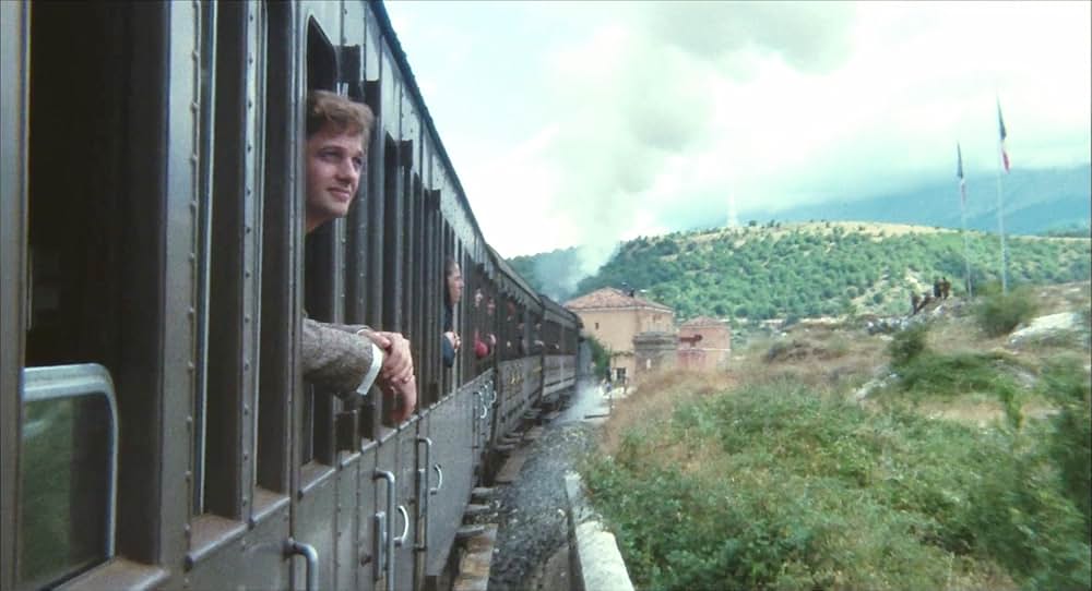 悲しみの青春の画像