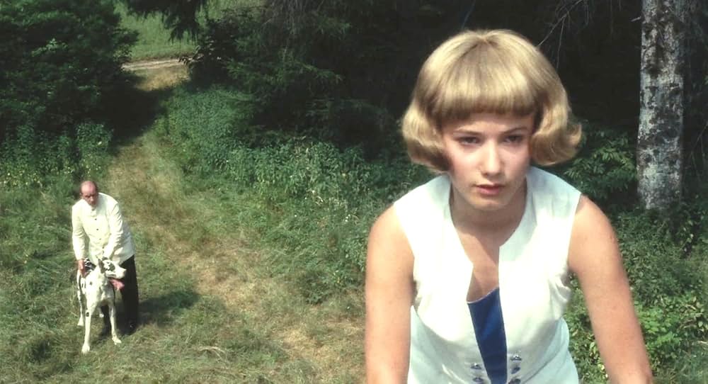 悲しみの青春の画像