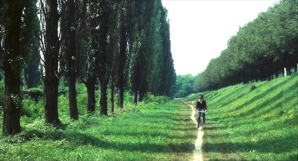 悲しみの青春の画像