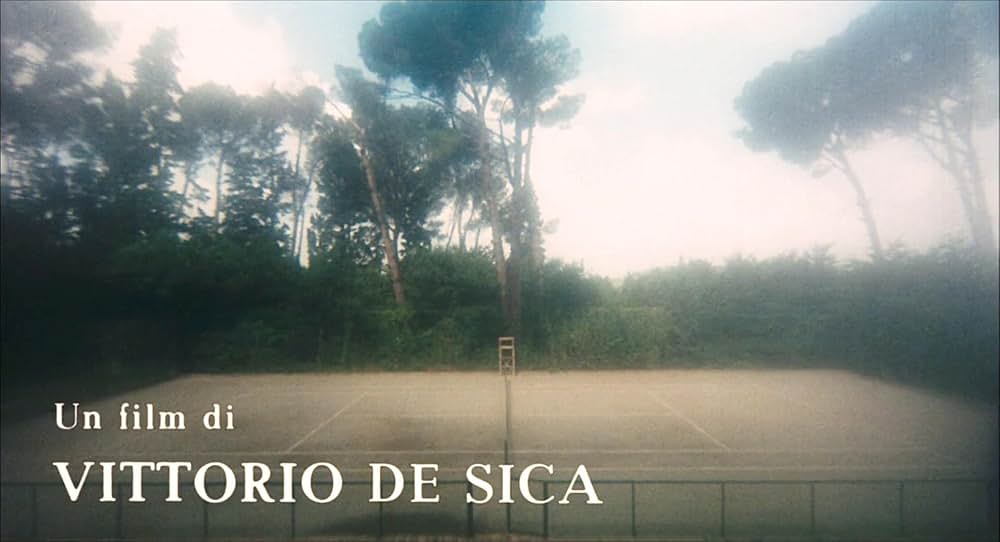 悲しみの青春の画像