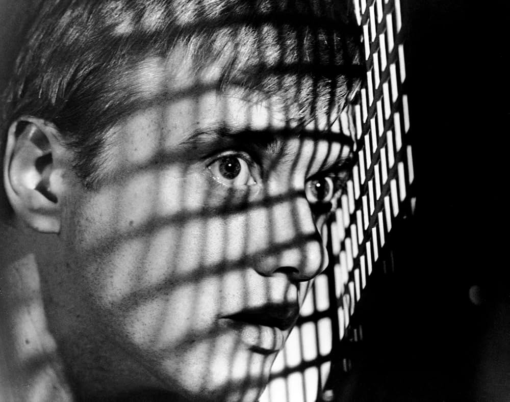 ブロンド美女連続殺人の画像