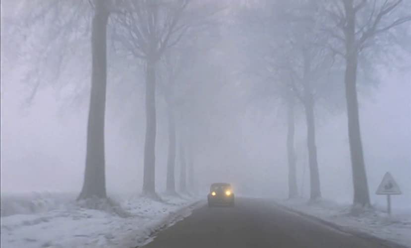 暗殺の森の画像