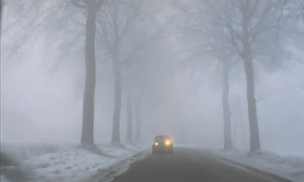 暗殺の森の画像