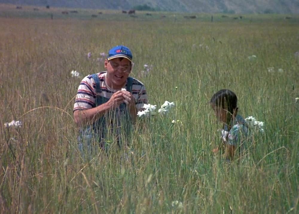 ダークナイトの画像