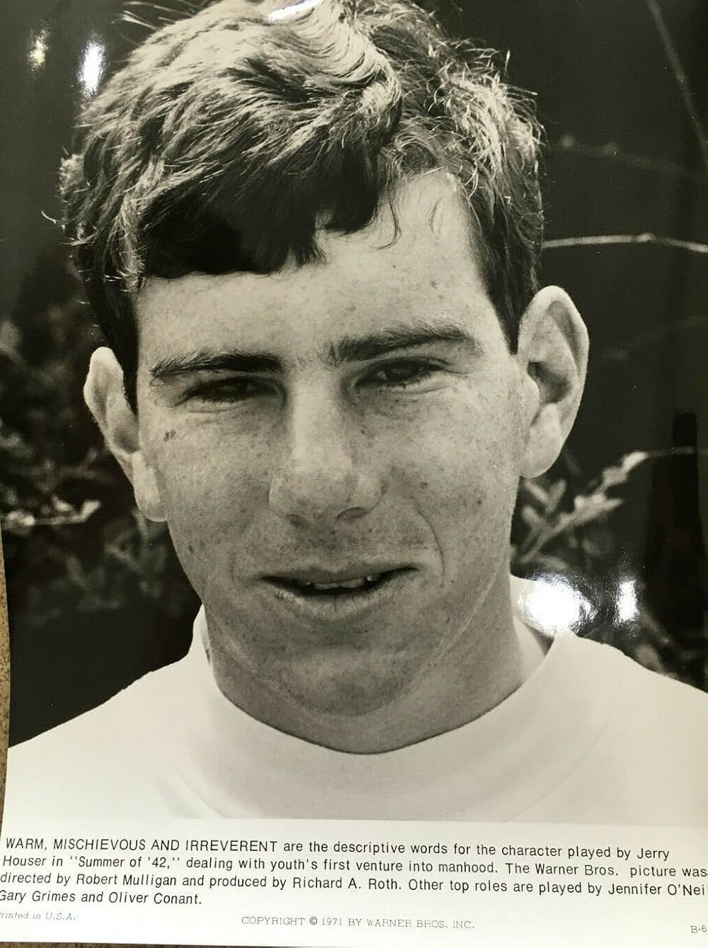 おもいでの夏の画像