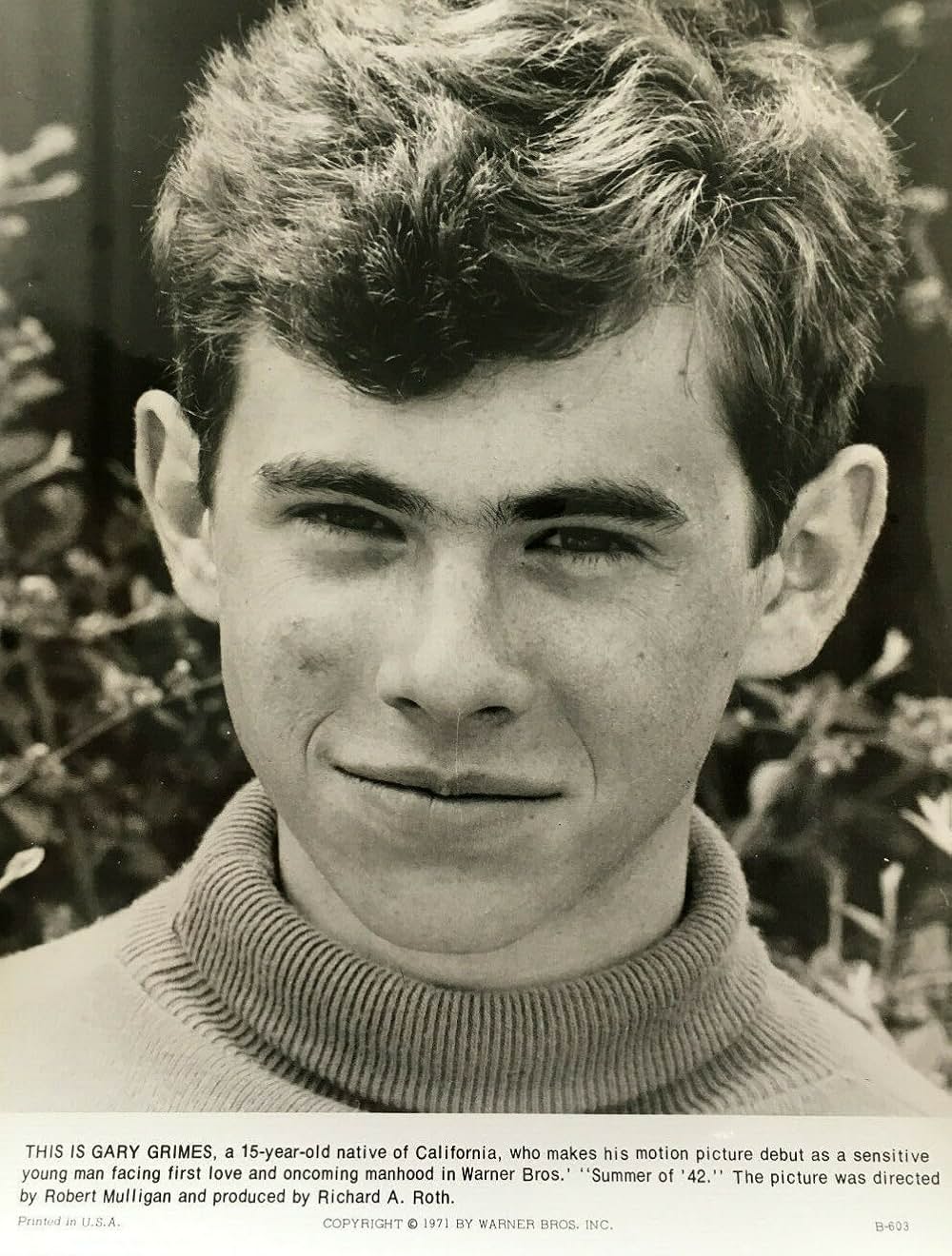 おもいでの夏の画像