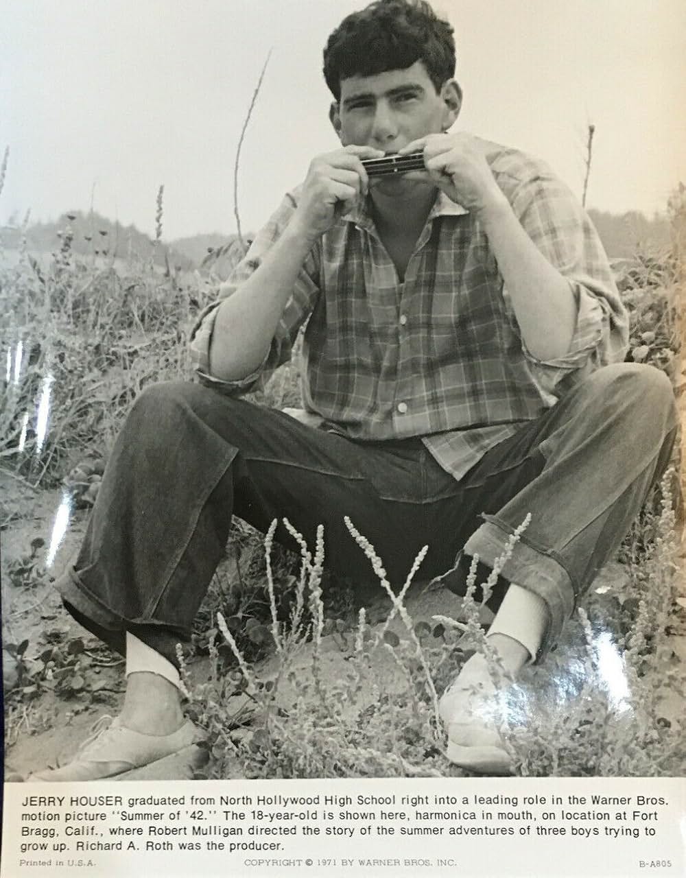 おもいでの夏の画像